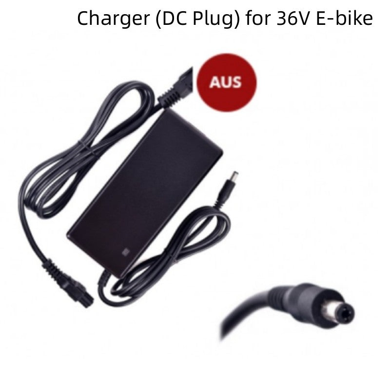 36V E-bike Lithium Battery Charger